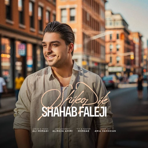 کاور آهنگ شیک و پیک از شهاب فالجی