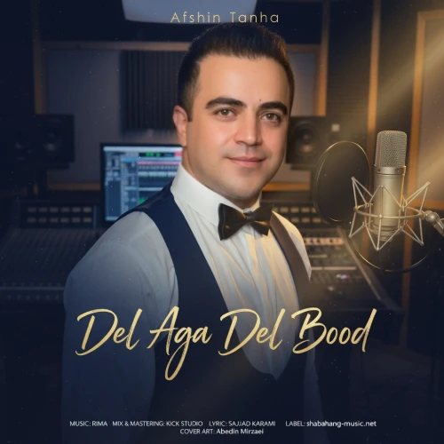 دانلود آهنگ افشین تنها دل اگر دل بود