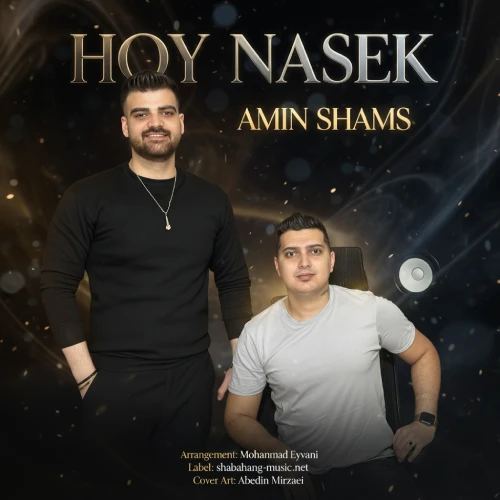 دانلود آهنگ امین شمس هوی ناسک