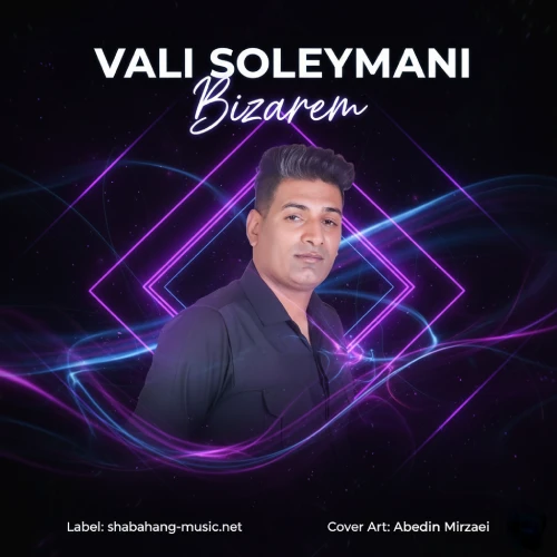 دانلود آهنگ ولی سلیمانی بیزارم