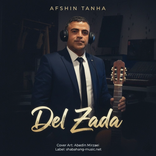 دانلود آهنگ افشین تنها دل زده