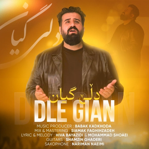 دانلود آهنگ هیوا بایزیدی دڵێ گیان