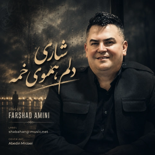 کاور آهنگ شاری دلم هموی خمه از فرشاد امینی