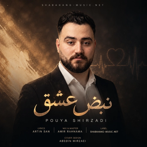 دانلود آهنگ نبض عشق از پویا شیرزادی